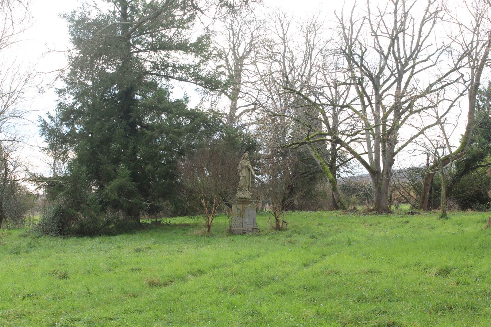 Open parkland west of the buildings, grass and bare trees under winter light.