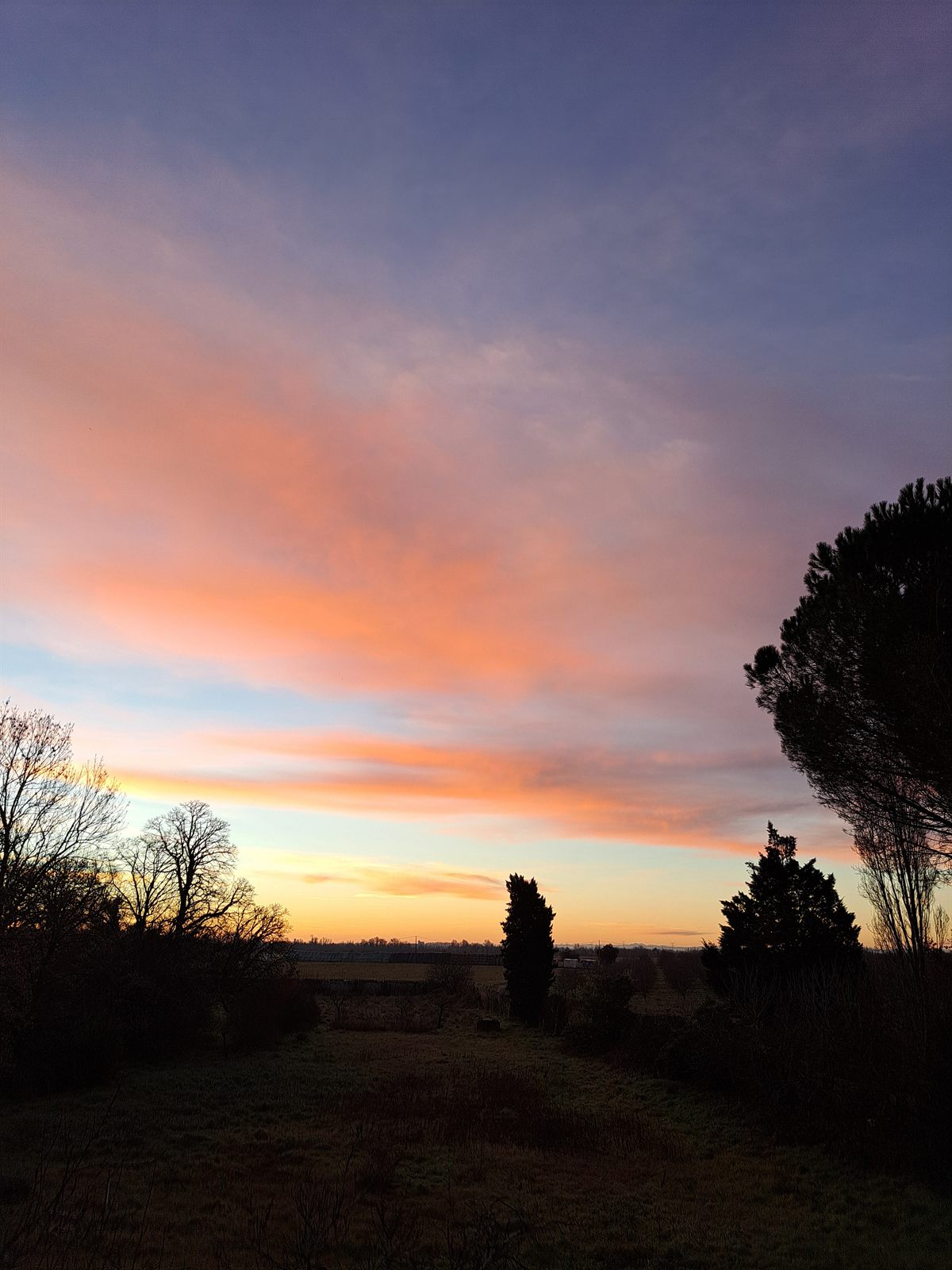 Evening over the Garonne plain from the abbey, cypresses in silhouette against a red sky.